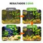 Polvo premium para el cuidado de estanques (500 g) | Clarificador de agua y control de algas 🐟🌊🔬