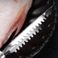 🐟Removedor de escamas de pescado de acero inoxidable