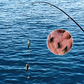 Ensemble de leurres artificiels pour la pêche à la mouche avec plusieurs hameçons